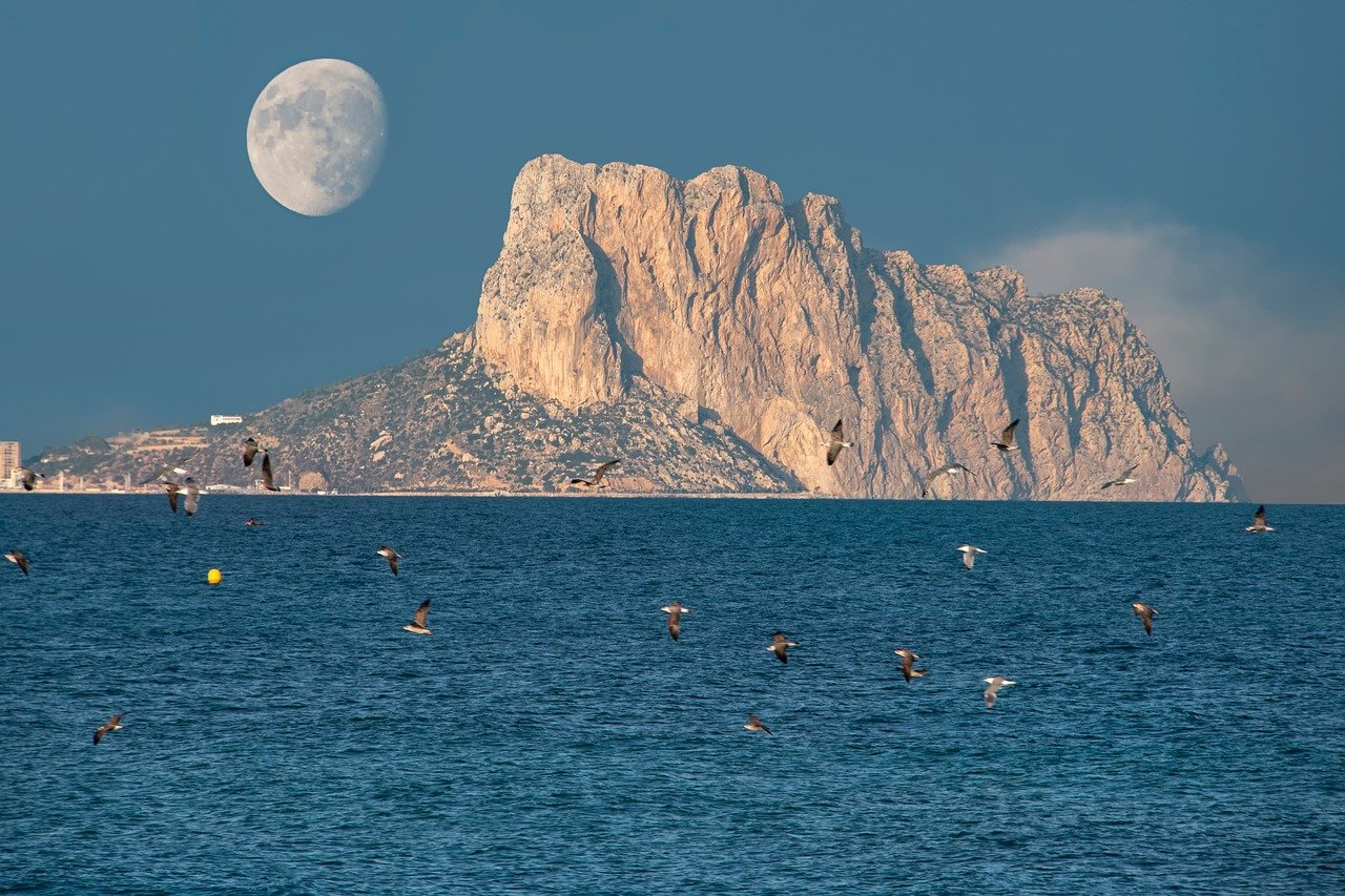 How to earn Money online